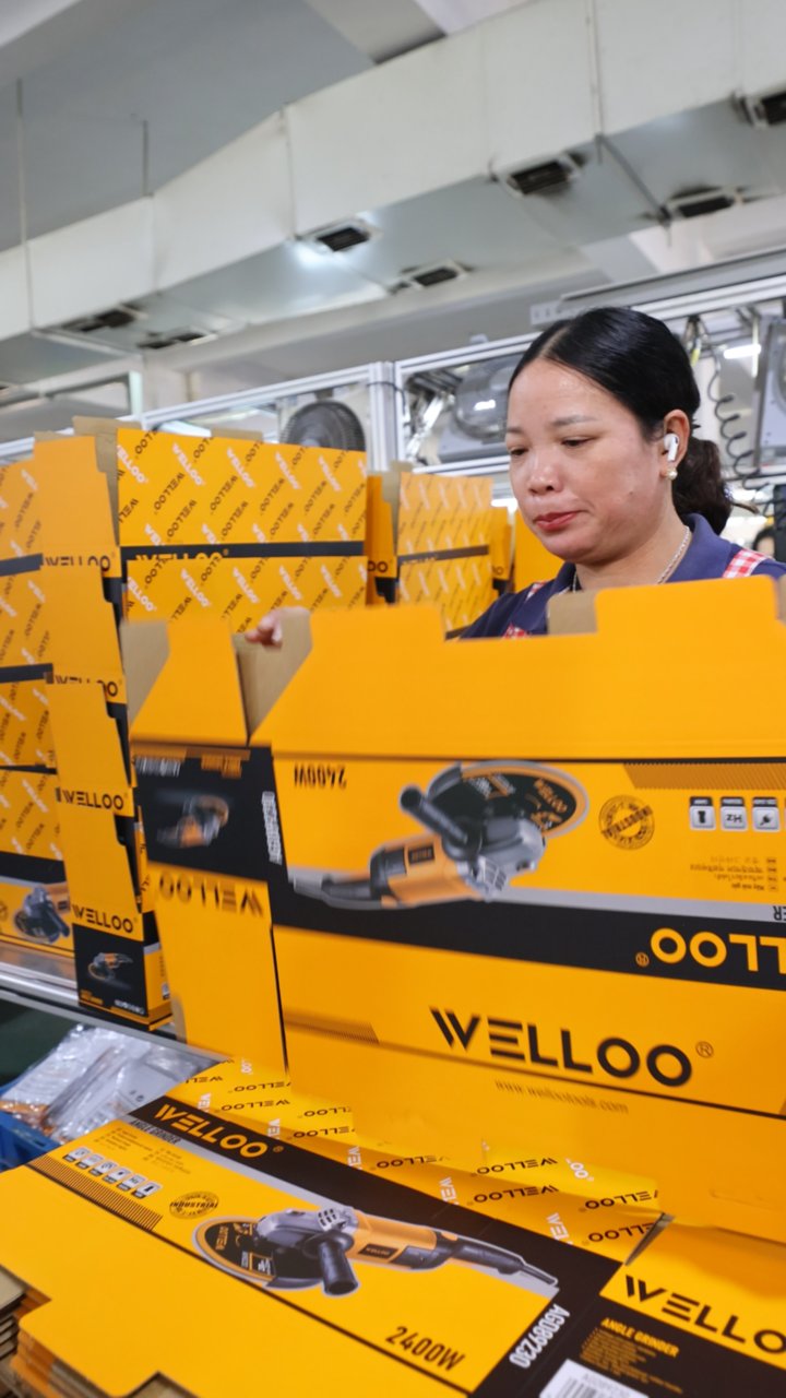 Empaque y preparación de cajas WELLOO para pedidos de herramientas de exportación