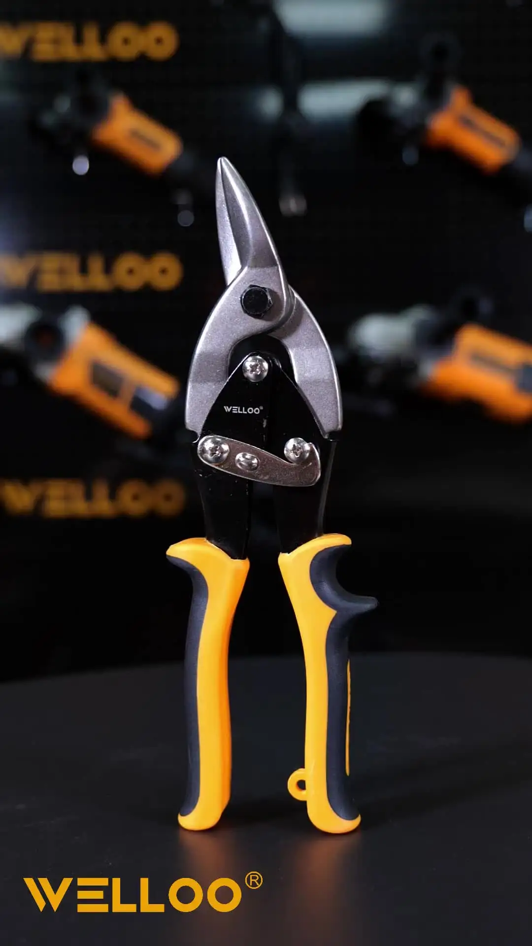 WELLOO 10 model ASP1310L HAND TOOLS product detail photo 8